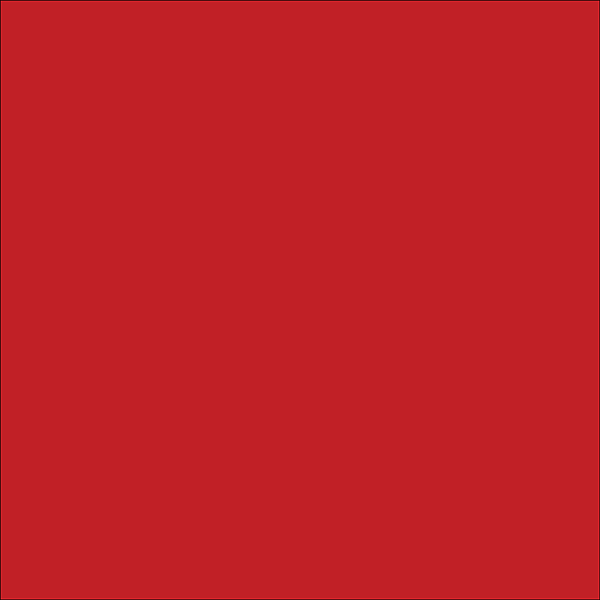 Oracal 751 High Performance Cast Series 24"