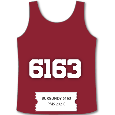 6100 Cool Sport Inks - McLogan Supply