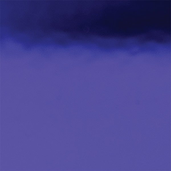 Creative Vinyl - Polychrome Polish Film 24" - McLogan Supply