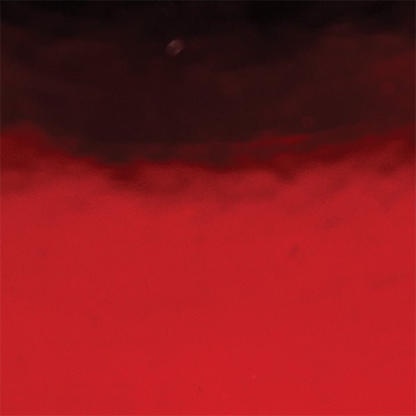 Creative Vinyl - Polychrome Polish Film 24" - McLogan Supply