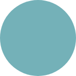 <strong>Primer</strong>