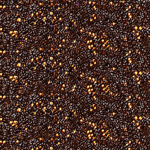 Polyester Glitter 31P Brilliant Bronze - McLogan Supply