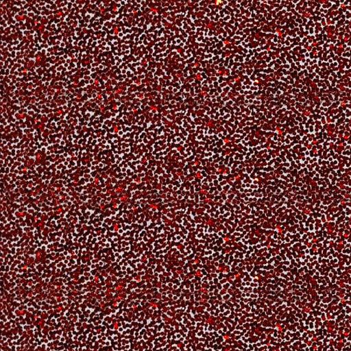 Polyester Glitter 70P Brilliant Apple Red - McLogan Supply