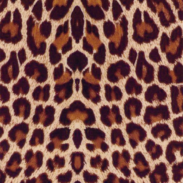 Thermoflex Fashion Patterns 12" Animal Print - McLogan Supply