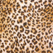 Thermoflex Fashion Patterns 12" Animal Print - McLogan Supply